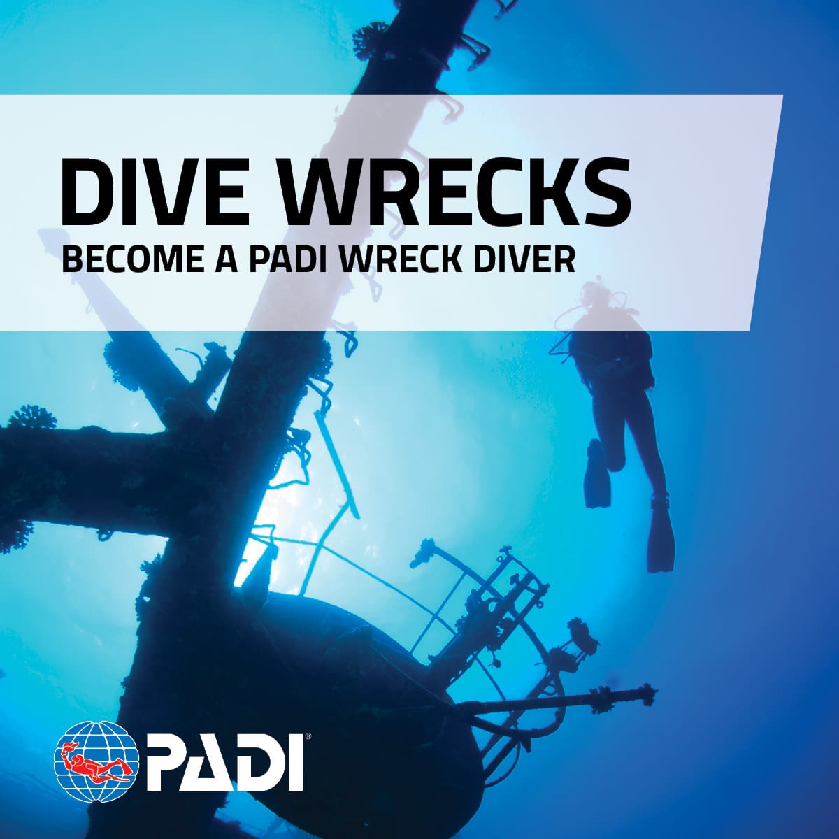 Scuba & Snorkelling Sporting Goods New PADI Wreck Diver Speciality