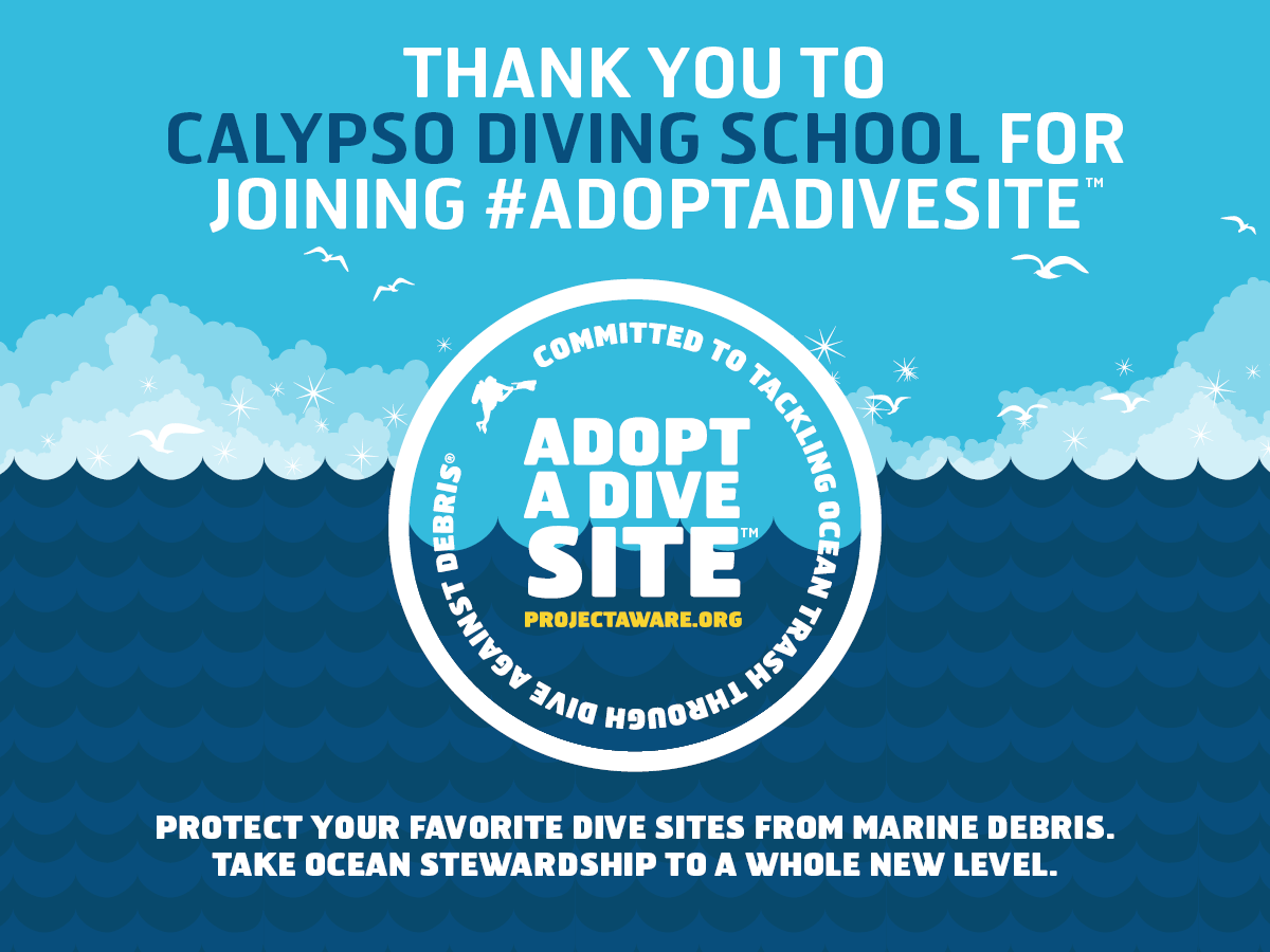 Adopt A Dive Site With Project Aware Padi 5 Star Scuba Diving Boracay Philippines